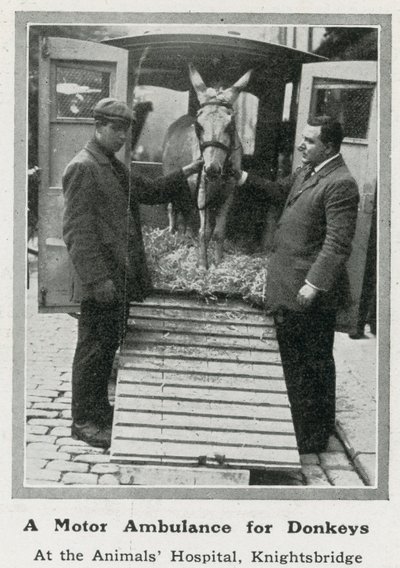 A Motor Ambulance for Donkeys by English Photographer